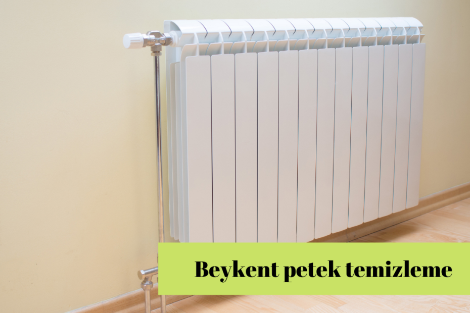 Beykent petek temizleme