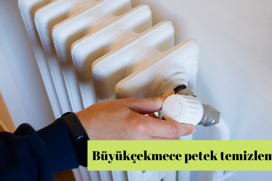 Büyükçekmece petek temizleme