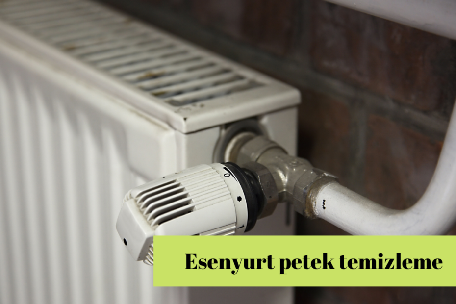 Esenyurt petek temizleme