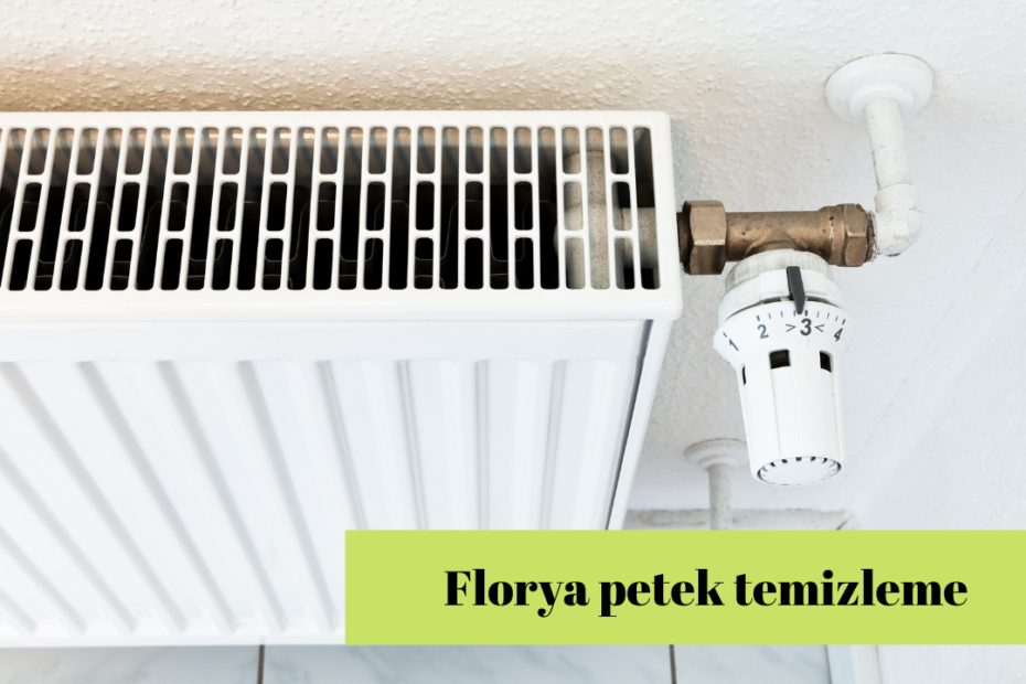 Florya petek temizleme