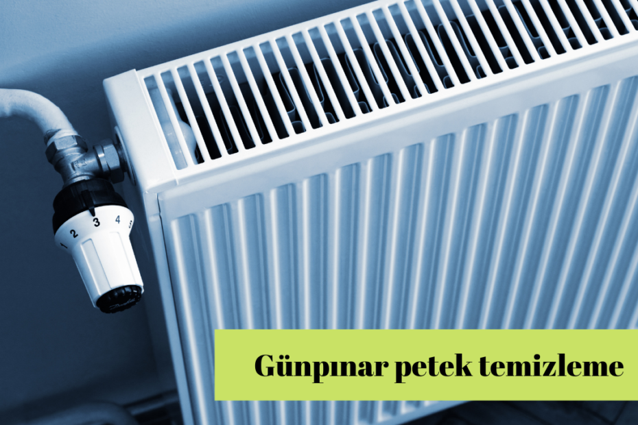 Günpınar petek temizleme