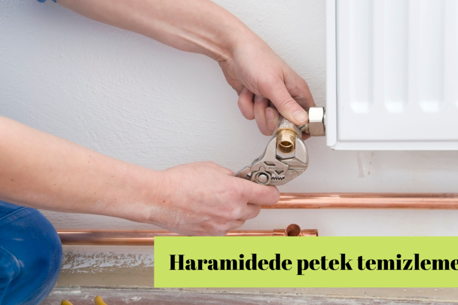 Haramidede petek temizleme